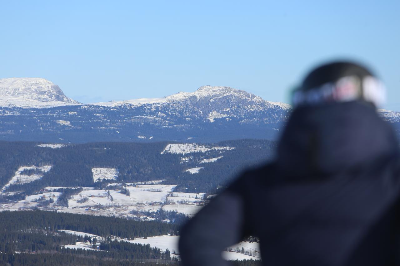 ホテル Gomobu Fjellstue ロン エクステリア 写真
