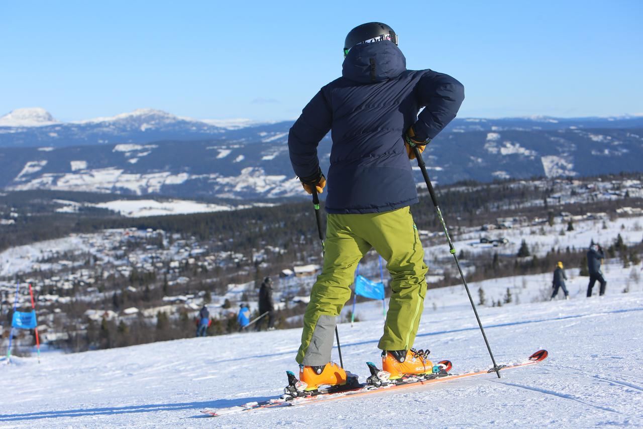 ホテル Gomobu Fjellstue ロン エクステリア 写真