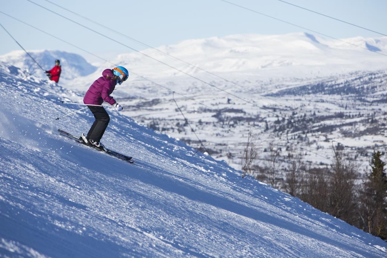 ホテル Gomobu Fjellstue ロン エクステリア 写真