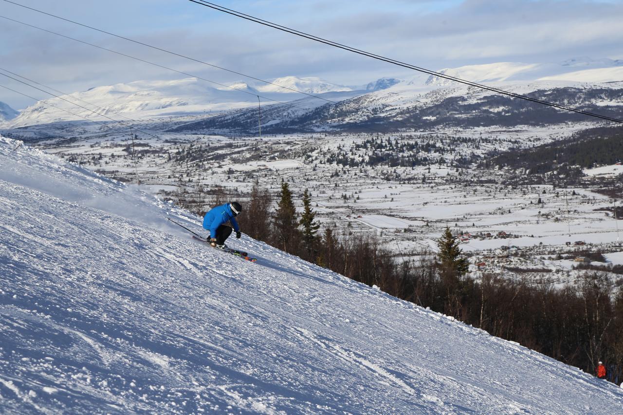 ホテル Gomobu Fjellstue ロン エクステリア 写真