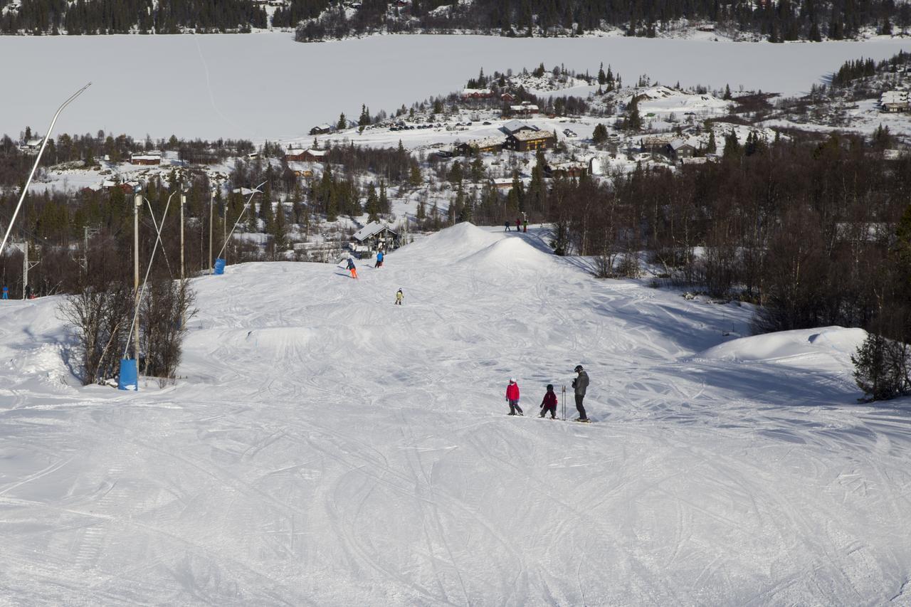 ホテル Gomobu Fjellstue ロン エクステリア 写真