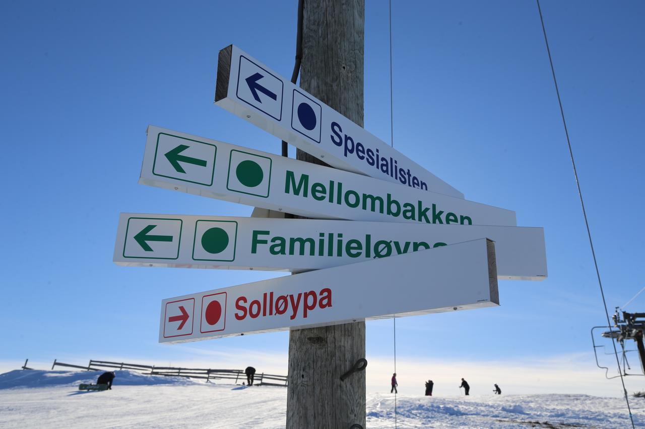 ホテル Gomobu Fjellstue ロン エクステリア 写真